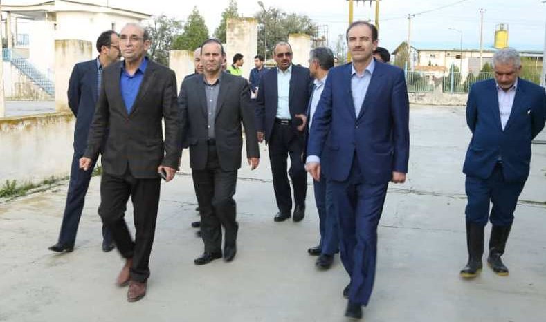 بیمه آسیا