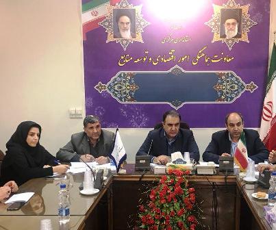 توزیع روزانه ۳۵ تن تخم مرغ با قیمت مصوب دولتی در استان مرکزی