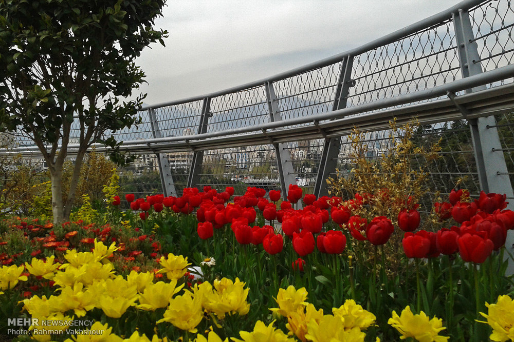اراضی عباس‌آباد مقصد نخست گردشگران تهران در نوروز ۹۷