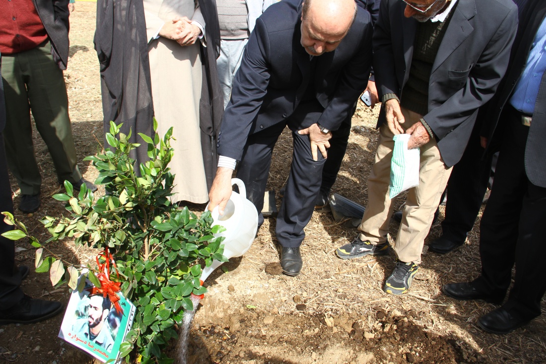 توزیع و کاشت بیش از ۱۴ هزار اصله نهال رایگان در منطقه ۲۰