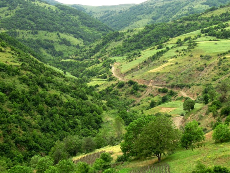 محیط‌زیست فدای اهداف کوتاه‌مدت نشود