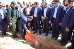 نهال کاری با صرف هزینه های انتشار تقویم و سالنامه توسط بانک مهراقتصاد