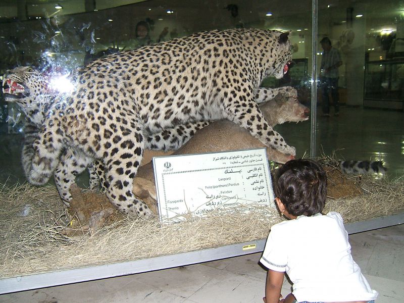 آمادگی موزه حیات وحش برای میزبانی از میهمانان پایتخت