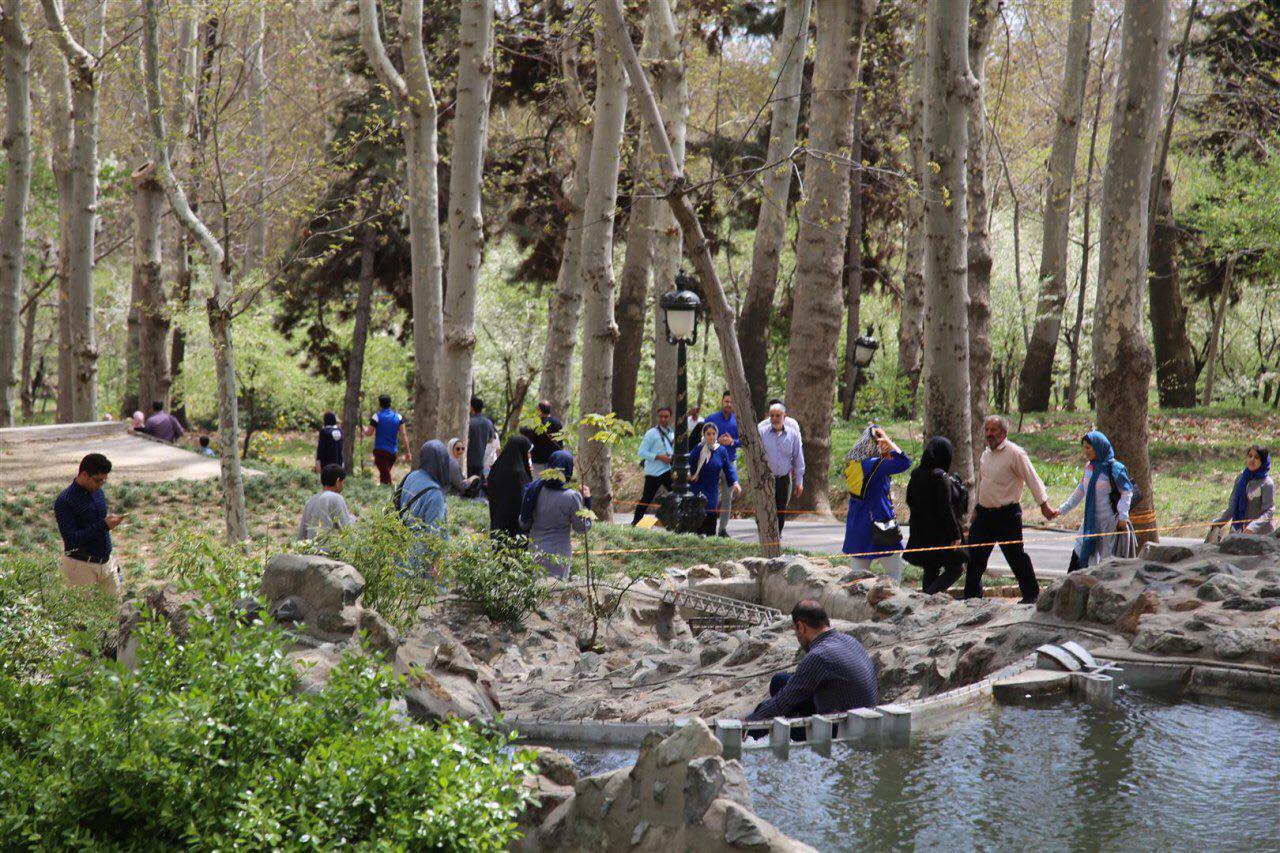 استقبال شهروندان از نخستین رینگ پیاده شمیران گردی