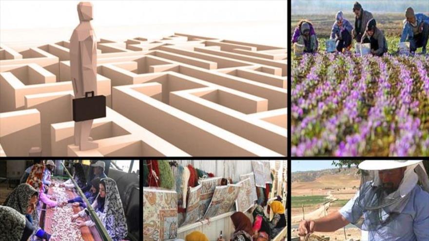 ضرب الاجل معاون رئیس جمهوری درباره جذب تسهیلات اشتغال روستایی