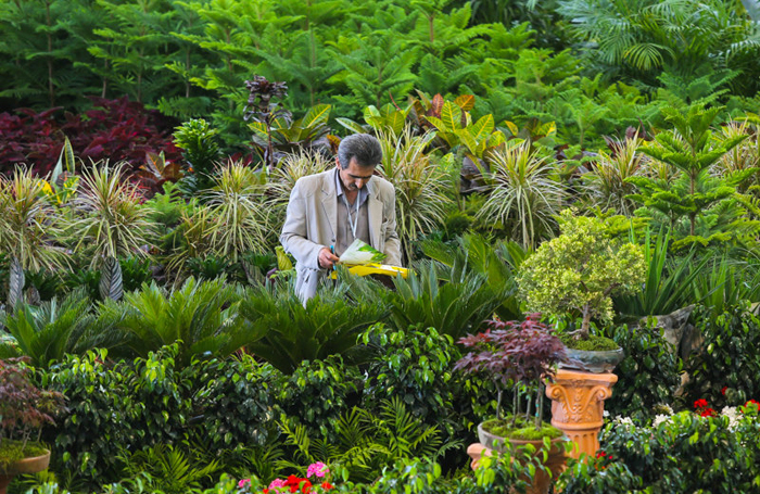 آغاز به کار شانزدهمین نمایشگاه بین‌المللی گل و گیاه از ۱۵ اردیبهشت