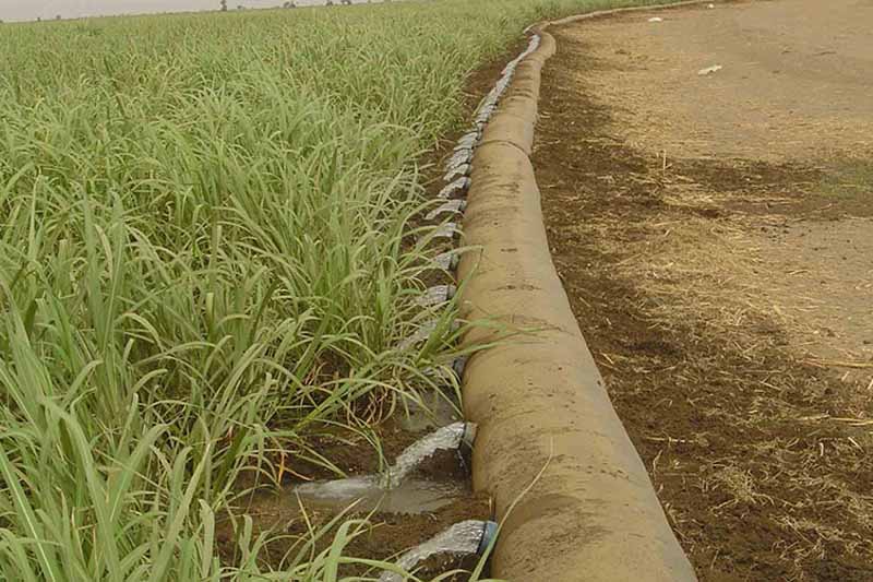 اجرای آبیاری کم فشار در ۴۰۰ هکتار از اراضی آذربایجان غربی