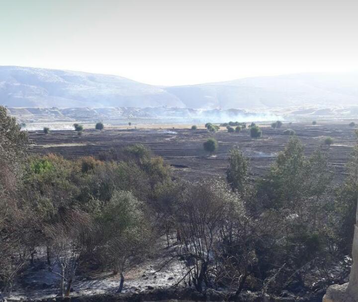 آتش در زمین‌های کشاورزی یک روستای ایذه مهار شد