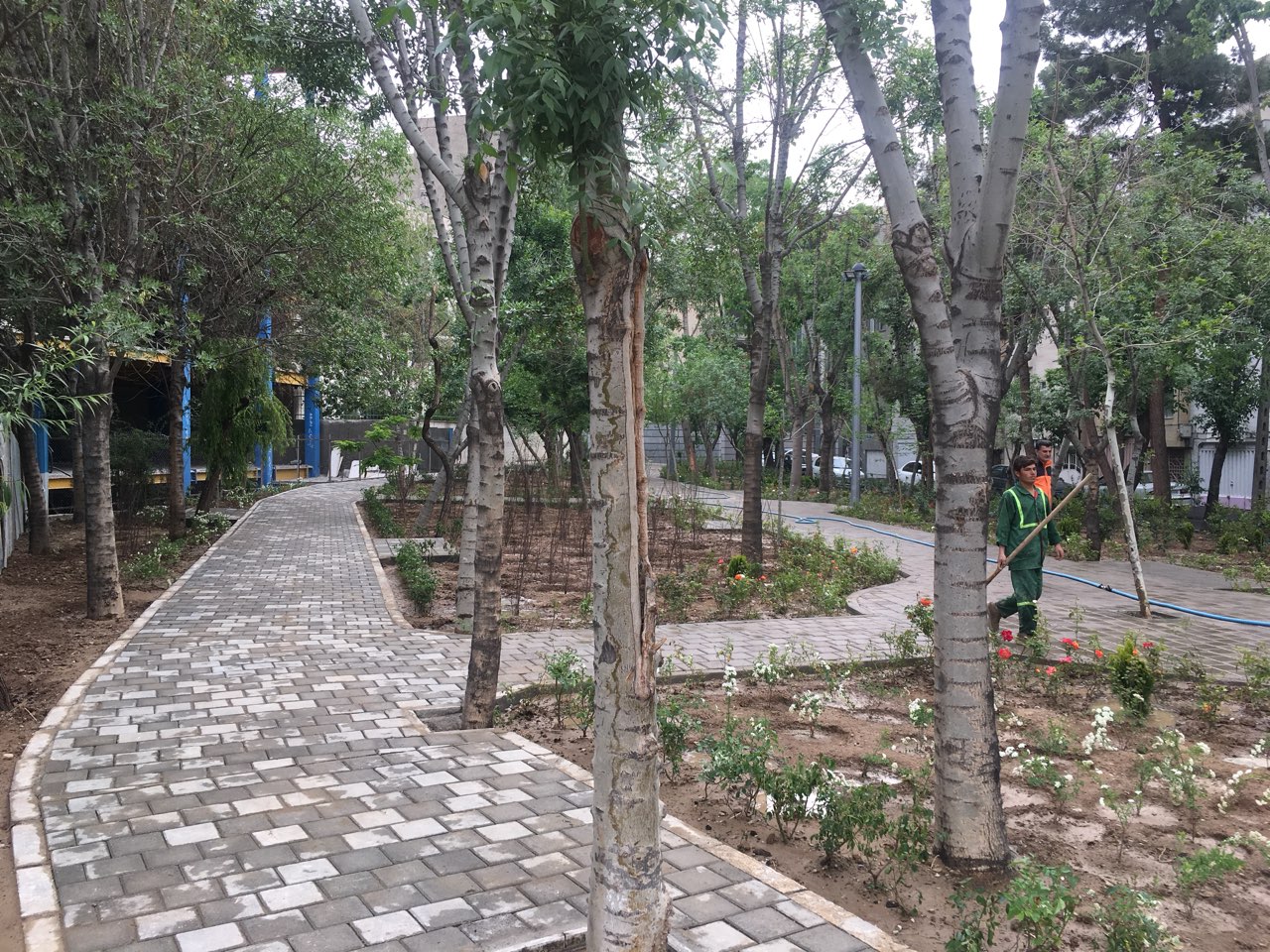 ۸۰ درصد پرونده‌های باغات شهر تهران مربوط به منطقه یک است