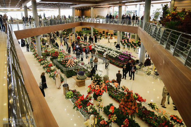پایانه‌ صادراتی گل و گیاه در تهران راه اندازی می‌شود