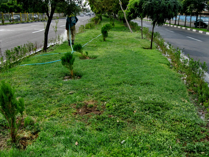 تجهیز و نوسازی ۳۷ هزار هکتار از اراضی شالیزاری شمال