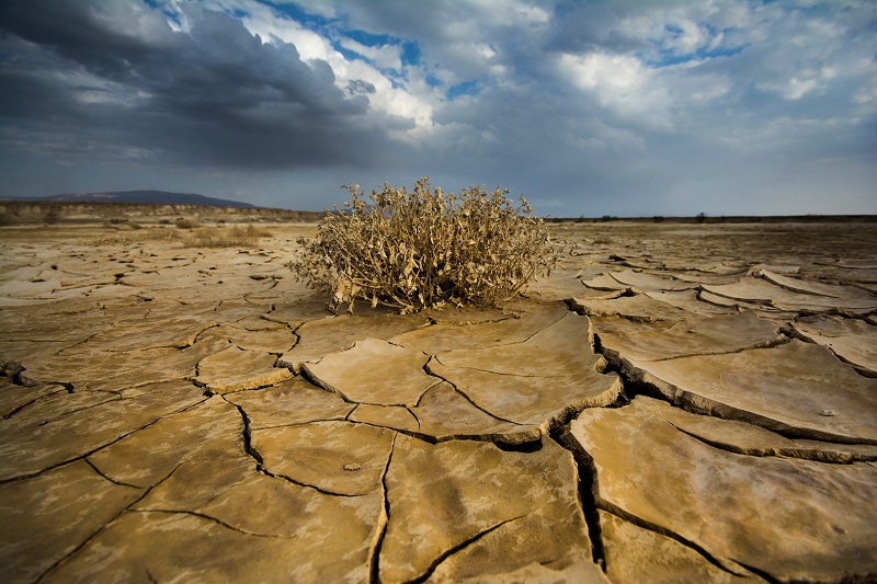 افزایش ۲ تا ۶ درجه ای دما، ایران را تهدید می کند