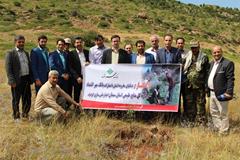 احیا ۱۰ هکتار از جنگل‌های مخروبه استان سمنان