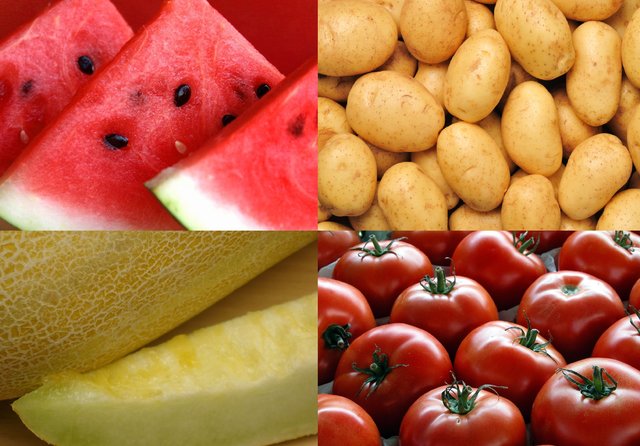 لغو ممنوعیت واردات ۴ محصول به عراق