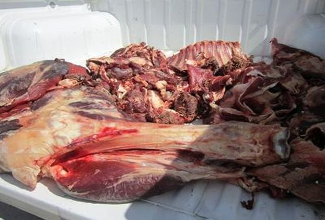 توزیع انبوه گوشت گرم گوسفندی به قیمت ۳۱۰ تا ۳۹۰ هزار تومان