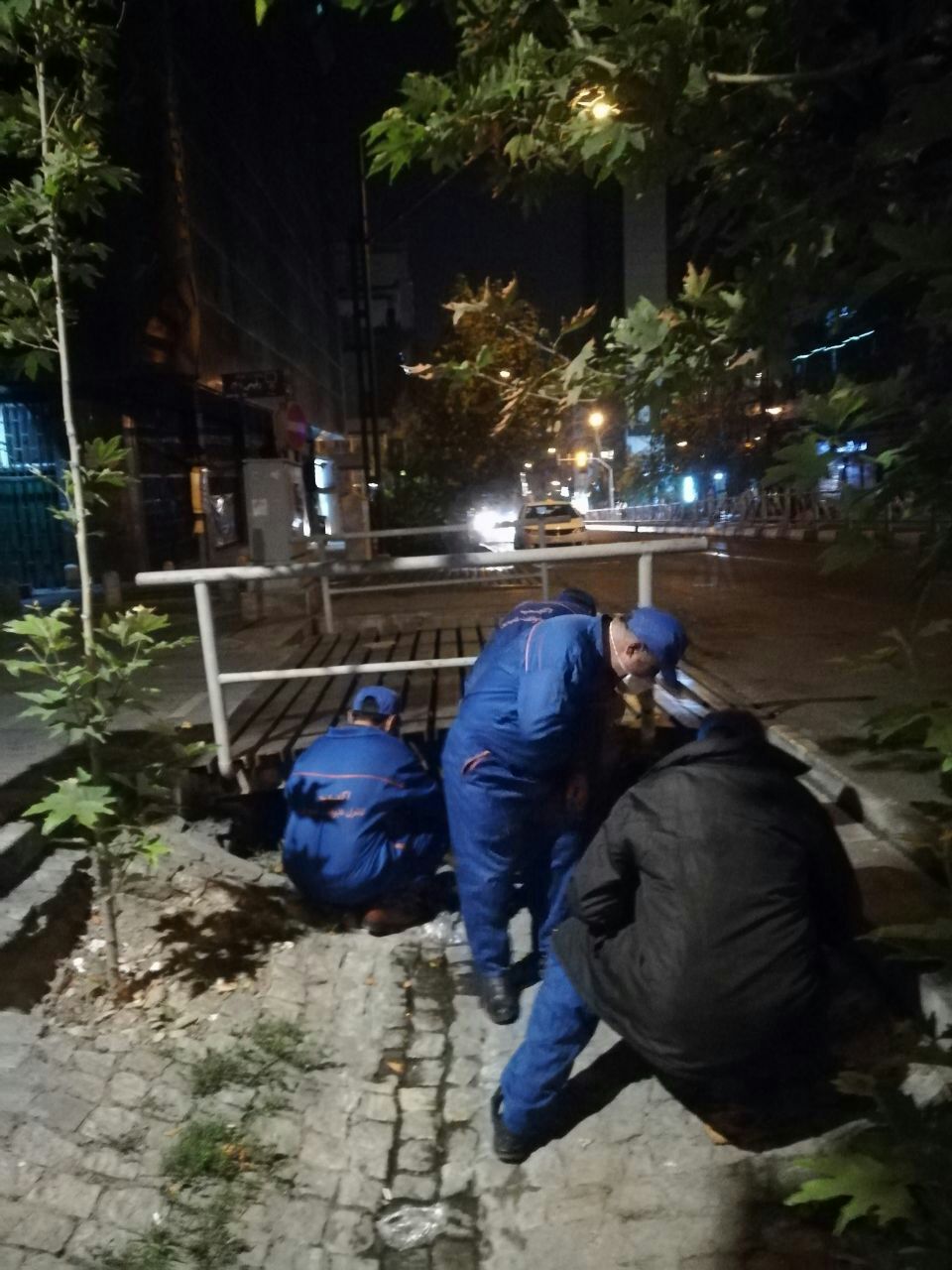 طعمه گذاری خیابان ولیعصر(عج) به منظور مبارزه با جانوران مضر شهری