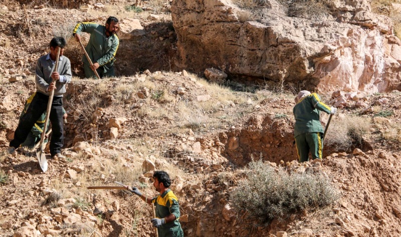 کاشت ۳۰۰ اصله نهال جنگلی در ارتفاعات تنگ خور لارستان