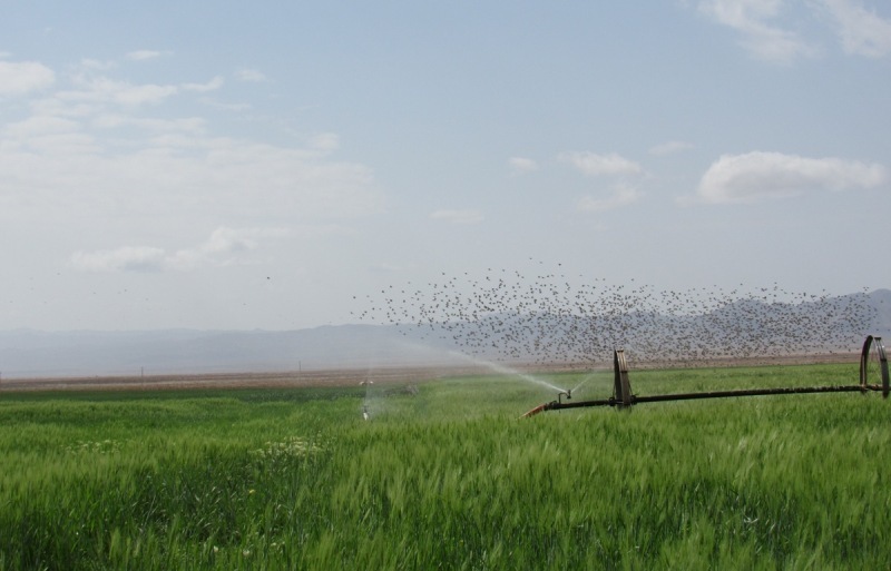 بهره‌برداری از شبکه‌های آبرسانی به ۲۳ هزار هکتار از اراضی غرب کشور