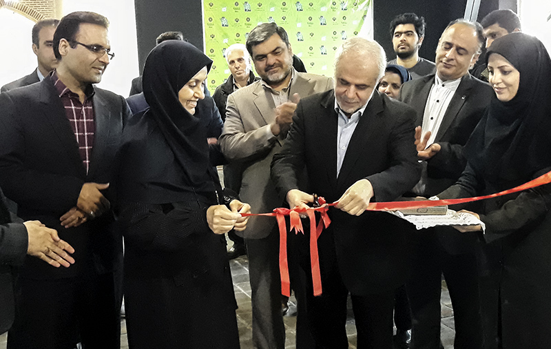 هنرمندان، حمایت از کالای ایرانی را طراحی کردند