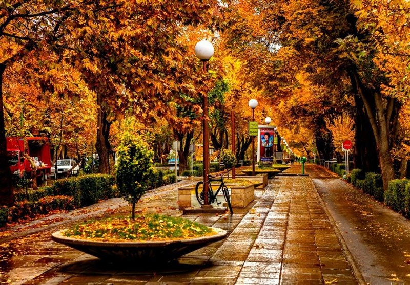 پهن کردن فرش رنگی از برگ‌های پاییزی در قلب پایتخت