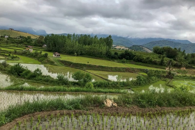 وجود ۱۴ هزار حکم قلع‌وقمع اجرا نشده در حوزه کشاورزی