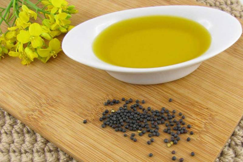 کاهش مالیات بر ارزش افزوده ۷ قلم دانه روغنی ابلاغ شد