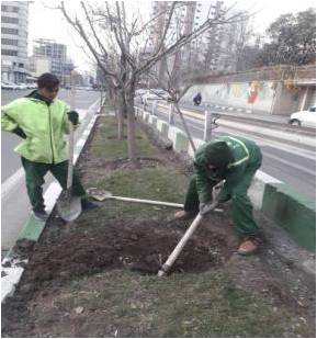 بهسازی و بازپیرائی میادین اصلی در منطقه ۲٠ اجرا شد