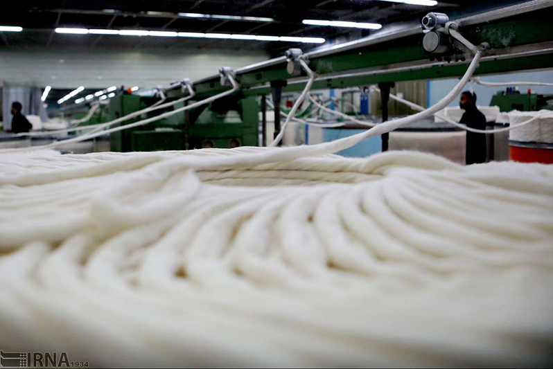 زنجیره تولید پنبه در گلستان راه اندازی می‌شود