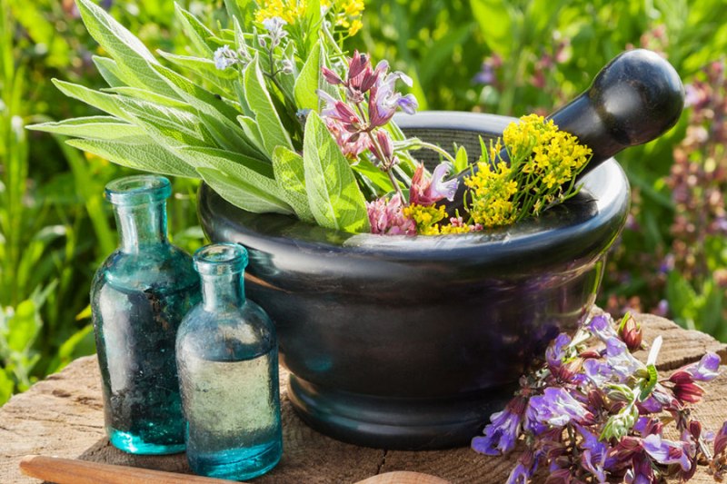 ارزآوری ۵۷۰ میلیون دلاری صادارت گیاهان دارویی ایران