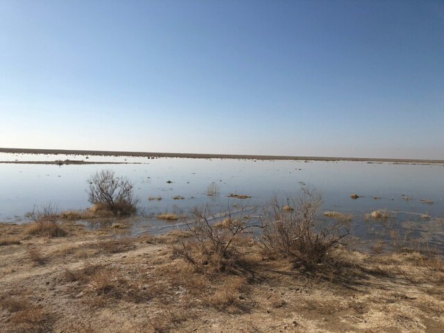 ۴۳ درصد تالاب‌های کشور در معرض تبدیل شدن به منشأ گرد و غبار