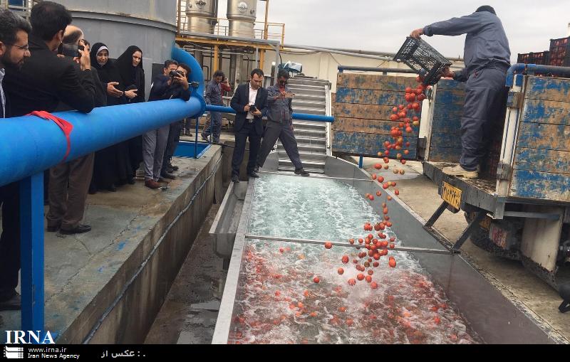 ۲ طرح تولیدی در دیر بوشهر افتتاح شد