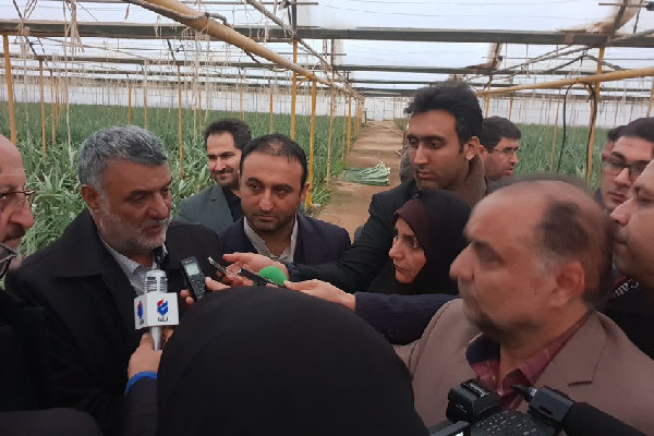 وسعت گلخانه های کشور به ۱۵ هزار هکتار رسیده است