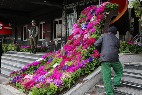 منطقه ۷ مزین به فرش گل می‌شود