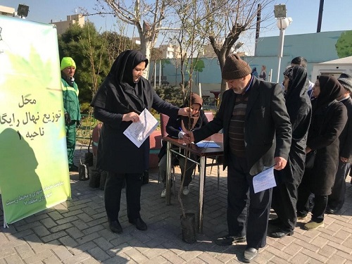 اجرای طرح توزیع نهال رایگان در سطح نواحی پنجگانه منطقه ۷