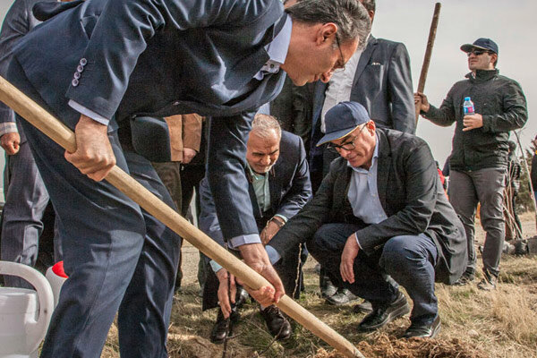 موفقیت ۹۵ درصدی پروژه درختکاری ایرانسل