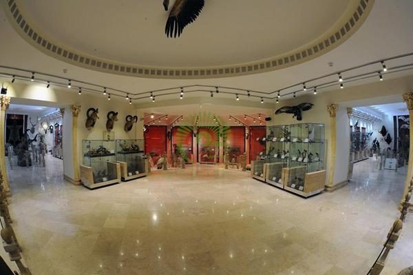 موزه‌ها را آنلاین بگردید