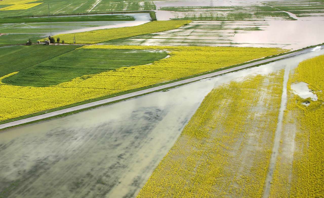 اختصاص ۱۵ هزار میلیارد تومان به کشاورزی قراردادی