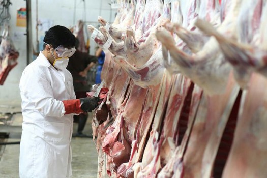 افزایش عرضه دام و کاهش قیمت گوشت در بازار