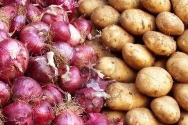 واردات ۵۰ هزار تن سیب‌زمینی برای تنظیم بازار و کنترل قیمت