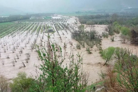 ۱۰۰۰ میلیارد تومان خسارت به کشاورزان سه استان سیل‌زده وارد شد