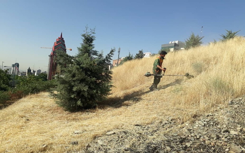 خداحافظی علف‌های هرز از سطح معابر و بزرگراه‌های منطقه شش