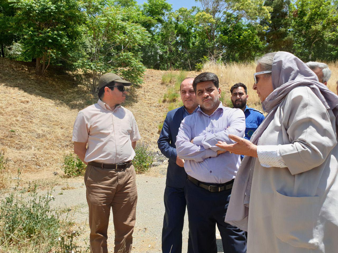 فرهنگ شهروندی با هنر هفتم در جامعه نهادینه می‌شود
