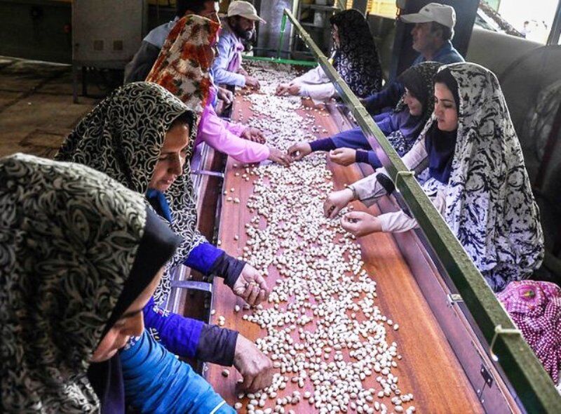 اختصاص ۴ هزار میلیارد تومان به توسعه مشاغل خانگی