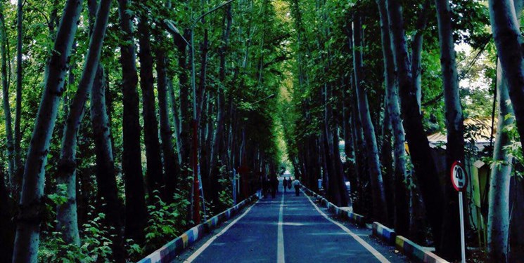 اردوگاه شهید باهنر پتانسیل جدید گردشگری شمال تهران است