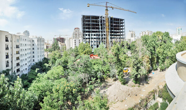 قطع کنندگان درختان الهیه بازداشت شدند