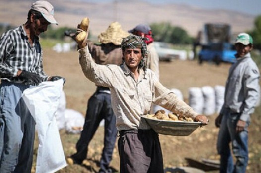 شناسایی ۱۰۰ روستای بدون بیکار در کشور