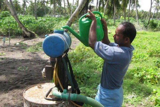 نیاز کشور به سم؛ ۲۷ هزار تن