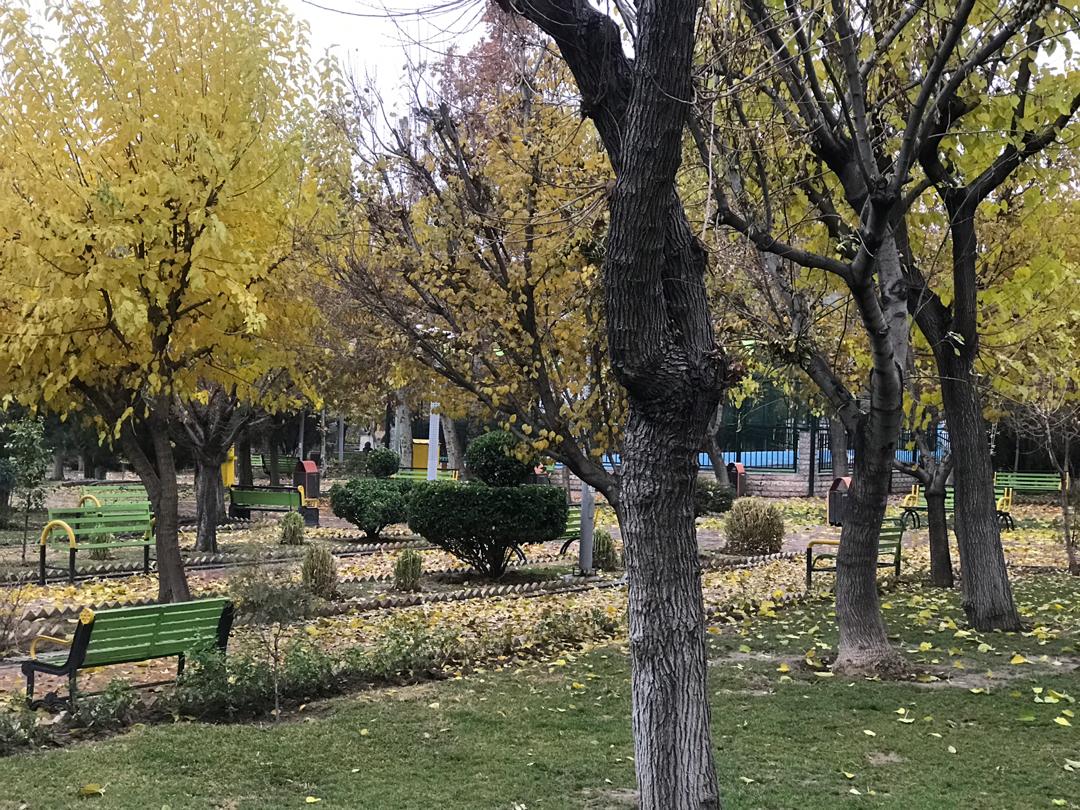 پارک‌های قلب پایتخت پاییزی می‌مانند