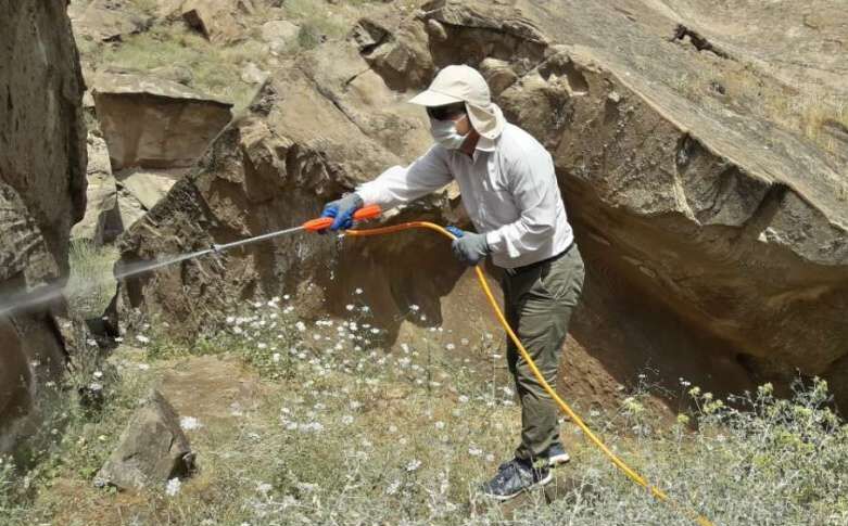 ۷۹ درصد سموم مصرفی کشور کم خطر است