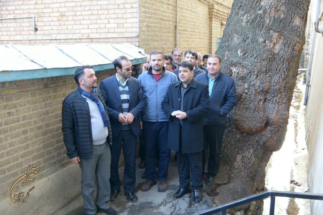 استعدادهای بالقوه درکه باید شناسایی و بالفعل شود